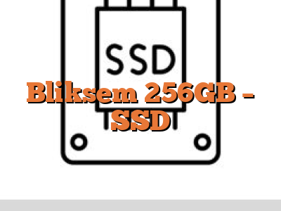 Bliksem 256GB - SSD