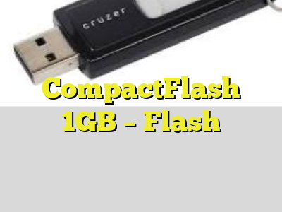 CompactFlash 1GB - Flash