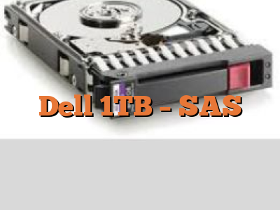 Dell 1TB - SAS