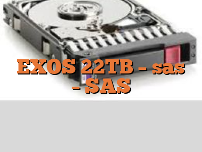 EXOS 22TB - sas - SAS
