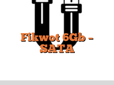 Fikwot 6Gb - SATA