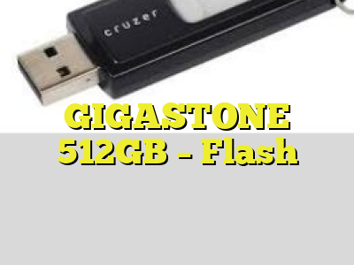 GIGASTONE 512GB - Flash