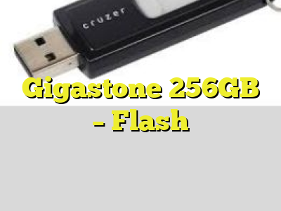 Gigastone 256GB - Flash