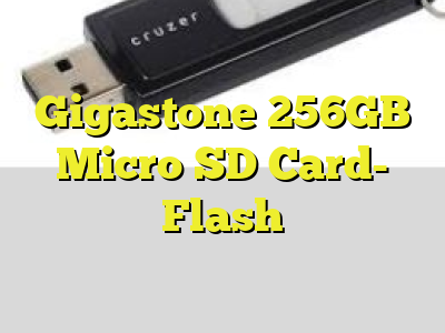 Gigastone 256GB Micro SD Card- Flash