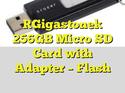 [Gigastone] 256GB Micro SD Card with Adapter - Flash