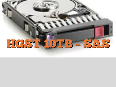 HGST 10TB - SAS