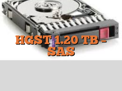 HGST 1.20 TB - SAS