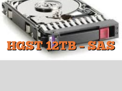 HGST 12TB - SAS