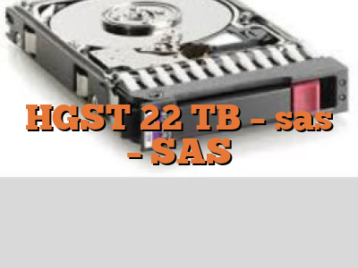HGST 22 TB - sas - SAS