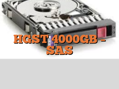 HGST 4000GB - SAS