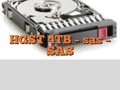 HGST 4TB - sas - SAS