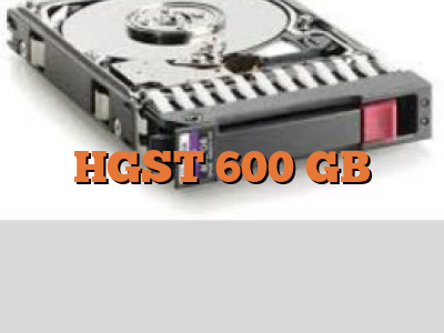 HGST 600 GB