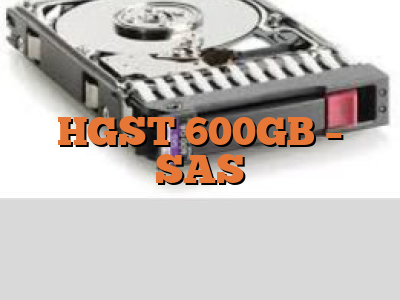 HGST 600GB - SAS