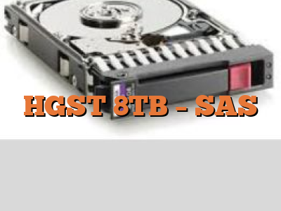 HGST 8TB - SAS