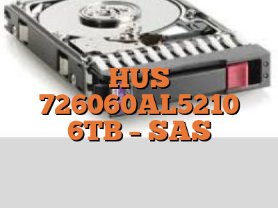HUS 726060AL5210 6TB - SAS