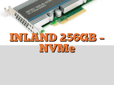 INLAND 256GB - NVMe
