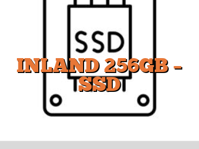 INLAND 256GB - SSD
