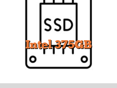 Intel 375GB