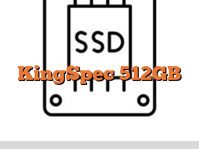 KingSpec 512GB