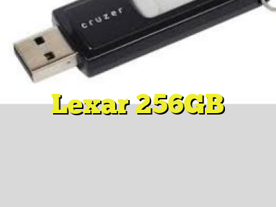 Lexar 256GB
