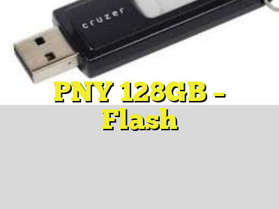 PNY 128GB - Flash