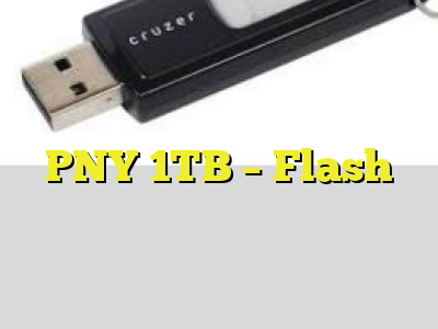 PNY 1TB - Flash