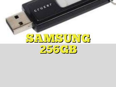SAMSUNG 256GB