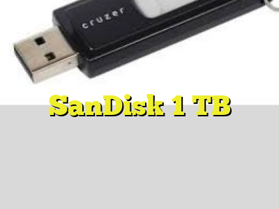 SanDisk 1 TB