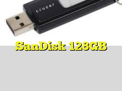 SanDisk 128GB
