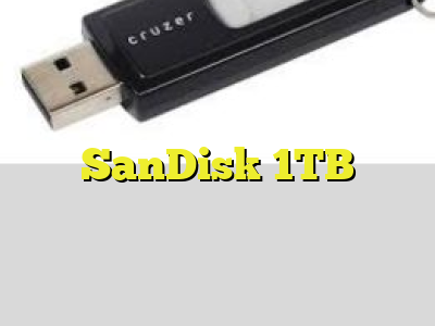 SanDisk 1TB