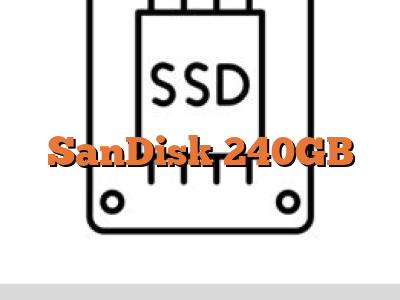 SanDisk 240GB