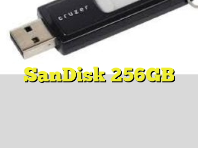 SanDisk 256GB