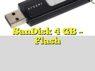 SanDisk 4 GB - Flash