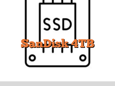 SanDisk 4TB