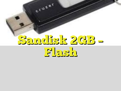 Sandisk 2GB - Flash