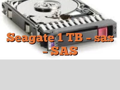 Seagate 1 TB - sas - SAS