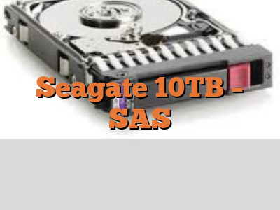 Seagate 10TB - SAS