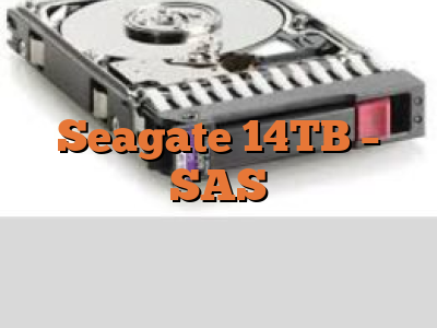 Seagate 14TB - SAS