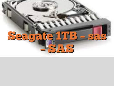 Seagate 1TB - sas - SAS