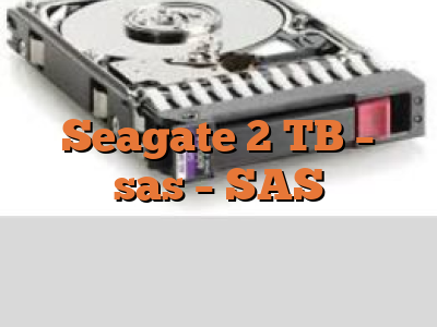 Seagate 2 TB - sas - SAS