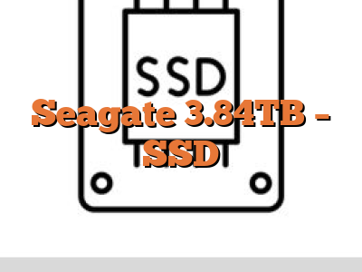Seagate 3.84TB - SSD