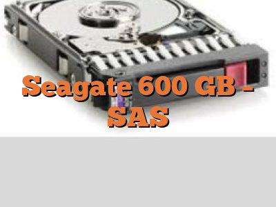 Seagate 600 GB - SAS