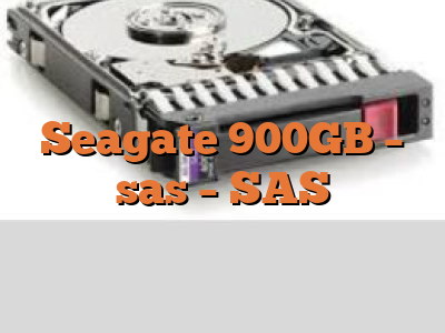 Seagate 900GB - sas - SAS