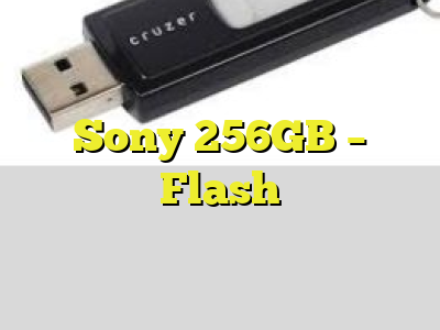 Sony 256GB - Flash