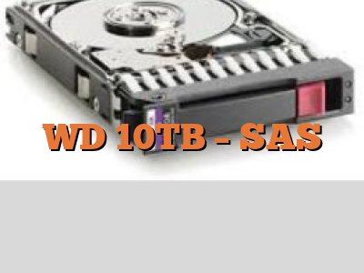 WD 10TB - SAS