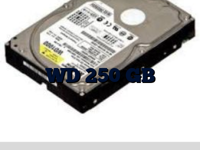 WD 250 GB