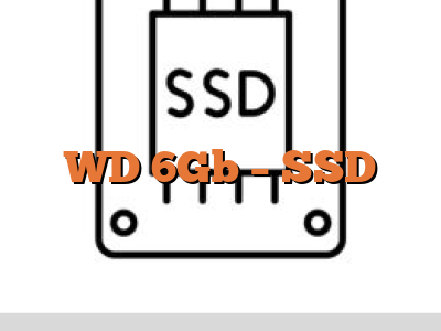WD 6Gb - SSD