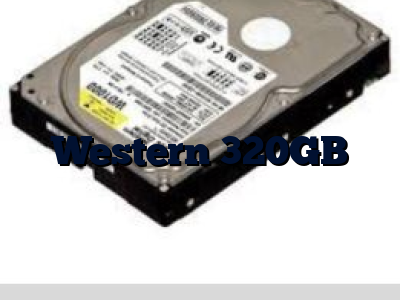 Western 320GB