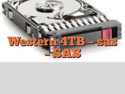 Western 4TB - sas - SAS