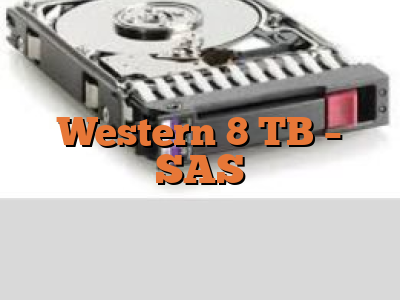 Western 8 TB - SAS